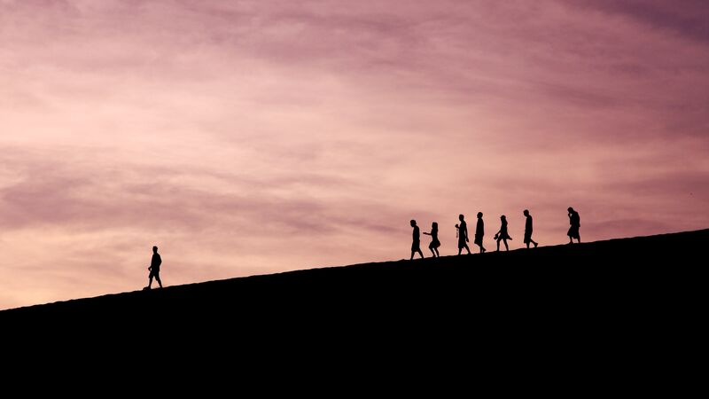 A leader showing his team down a mountain.