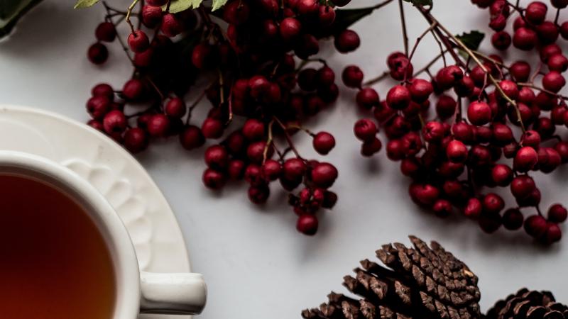 Close up of holiday berries, hot drink, and pinecones.