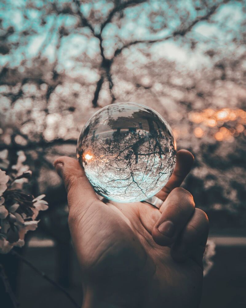 A hand holding a glass sphere, reflecting the cherry blossoms in the background.