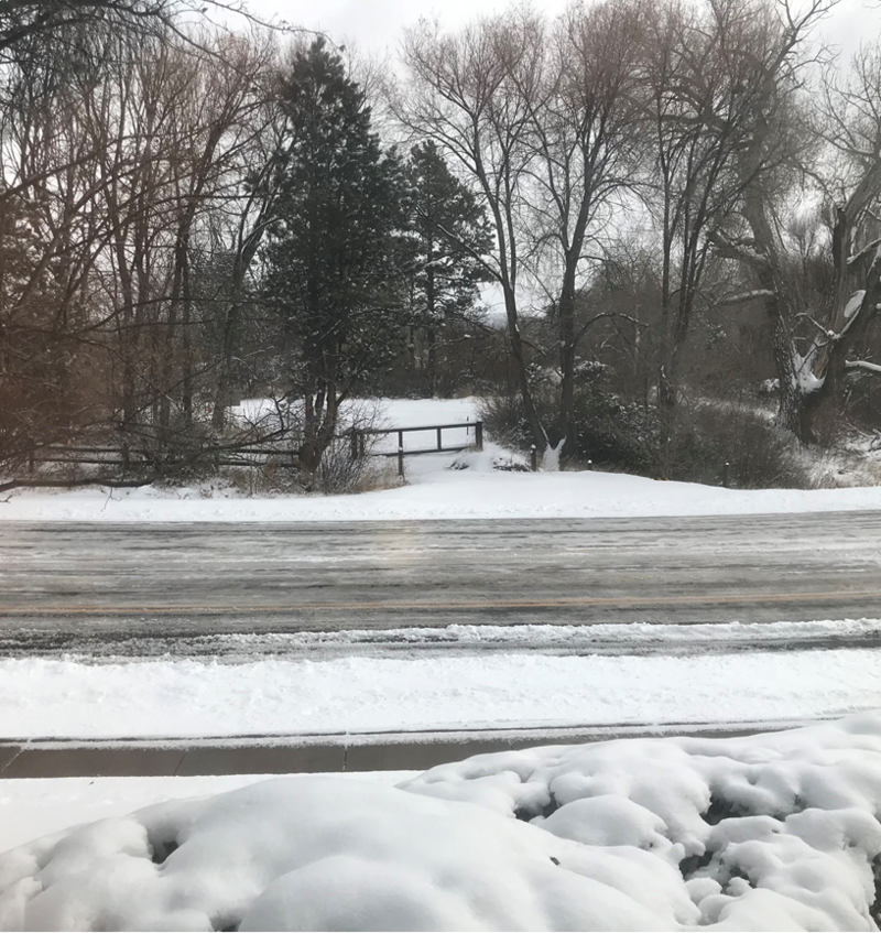 A snow covered landscape of the side of a road, with tall trees lining a snow covered path on the other side.