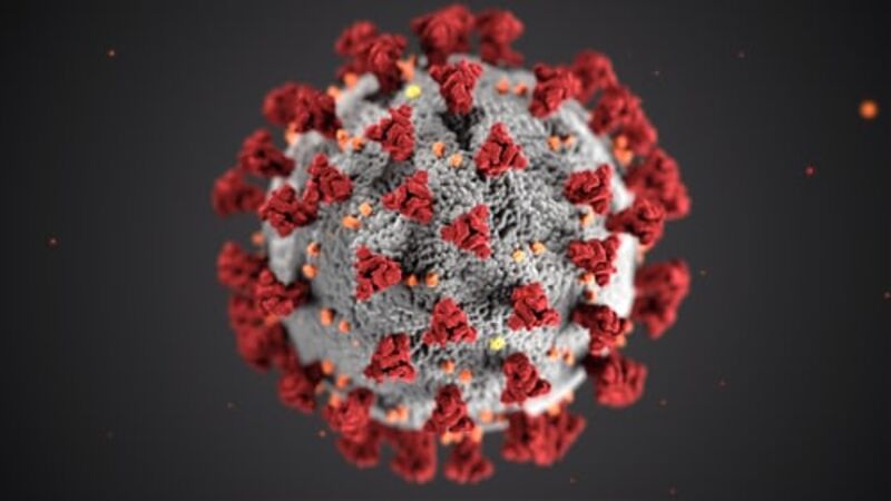 Coronavirus CDC image