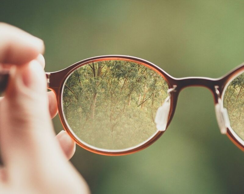 A pair of eyeglasses focusing in on green trees.