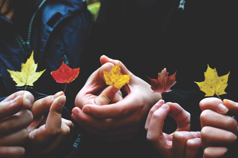 Five leaves in different colors being held in five different hands.