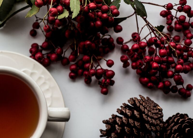 Close up of holiday berries, hot drink, and pinecones.