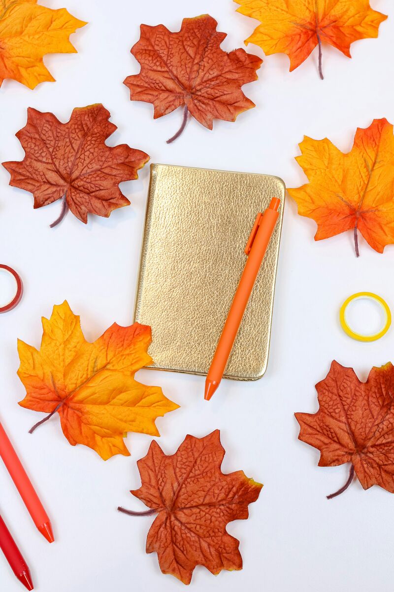 an overhead shot of a gold journal and an orange pen with orange and brown leaves scattered over it 