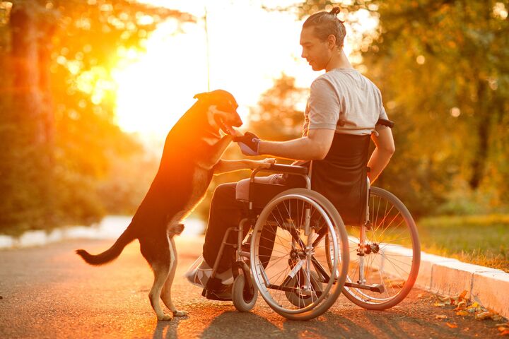 Sun shining on a man in wheelchair with his dog