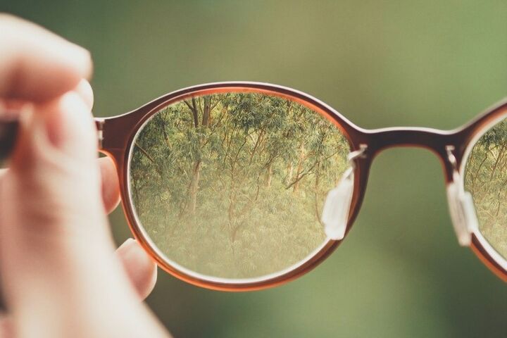 A pair of eyeglasses focusing in on green trees. 