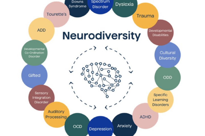 the capitalized word Neurodiversity is surrounded by a series of 18 circles, forming one large circle. Each circle is colored differently, and each one contains the name for different types of neurodivergence such as ADHD or OCD for example.