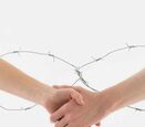 Two hands connecting through a barbed wire. 