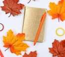an overhead shot of a gold journal and an orange pen with orange and brown leaves scattered over it 